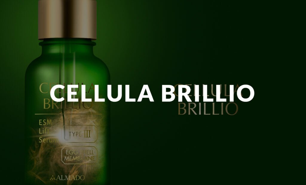 related works-CELLULABRILLIO
